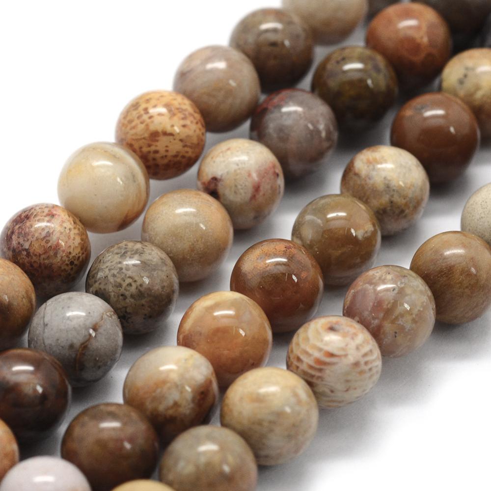 Natural Fossil Coral — Round Beads 6mm | Strand ~38 cm
