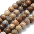 Natural Fossil Coral — Round Beads 6mm | Strand ~38 cm